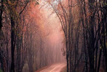 技术交流会会标怎么写,技术交流会主题文案