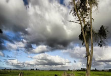 技术讨论区达盖尔旗,达盖尔旗帜啥意思