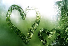 技术讨论区一纳,技术讨论区2021t66