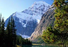 技术讨论区达盖尔旗,达盖尔旗帜啥意思