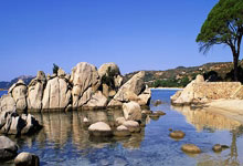 青岛it社区论坛最新招聘信息网,青岛it社区论坛最新招聘信息网站